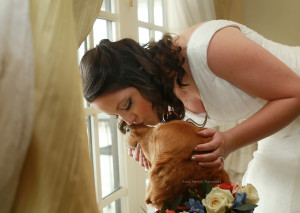 Golden Retriever in wedding