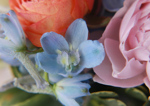 Wedding Flowers