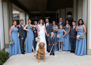 dog in wedding