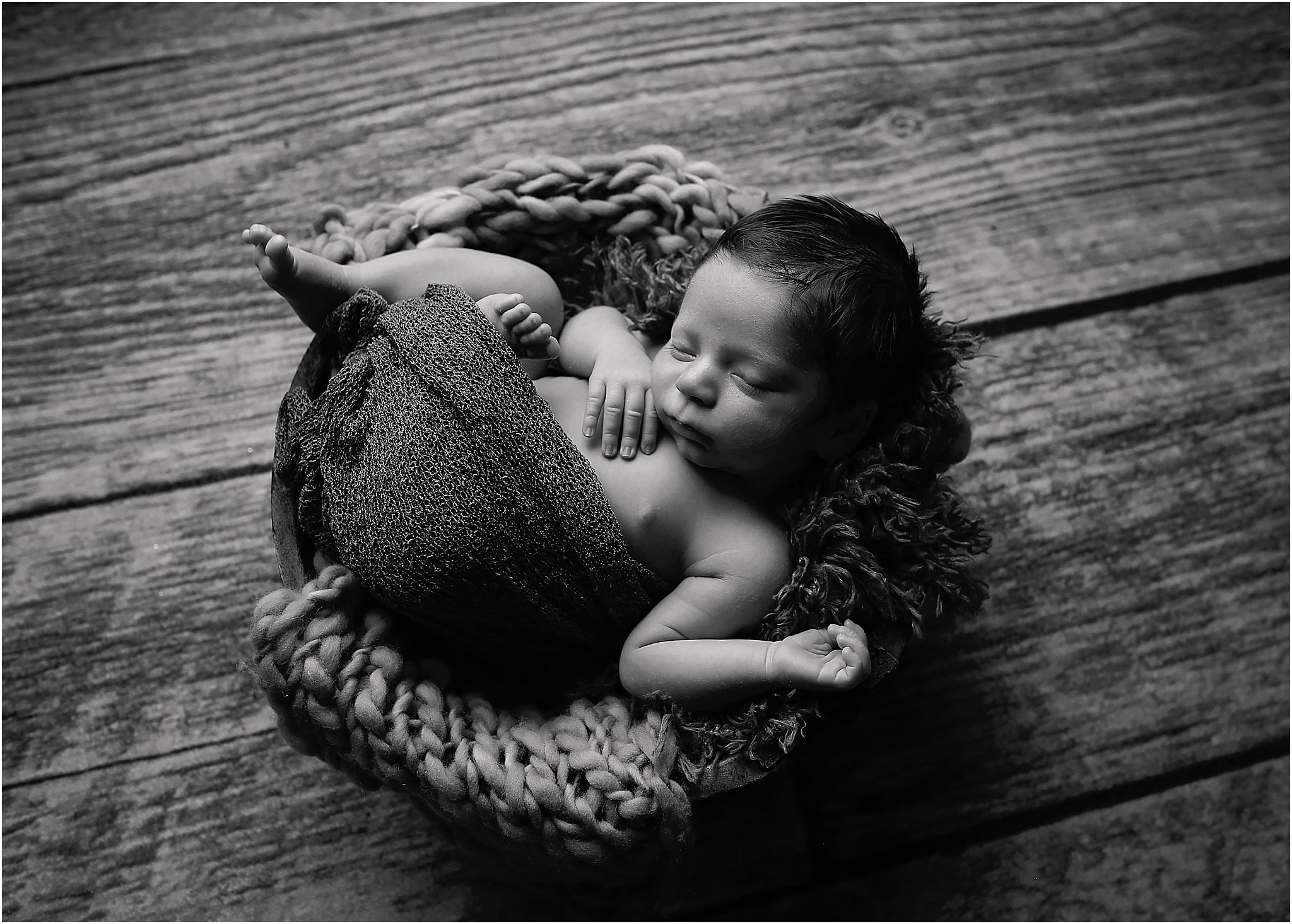 newborn portraits buffalo ny