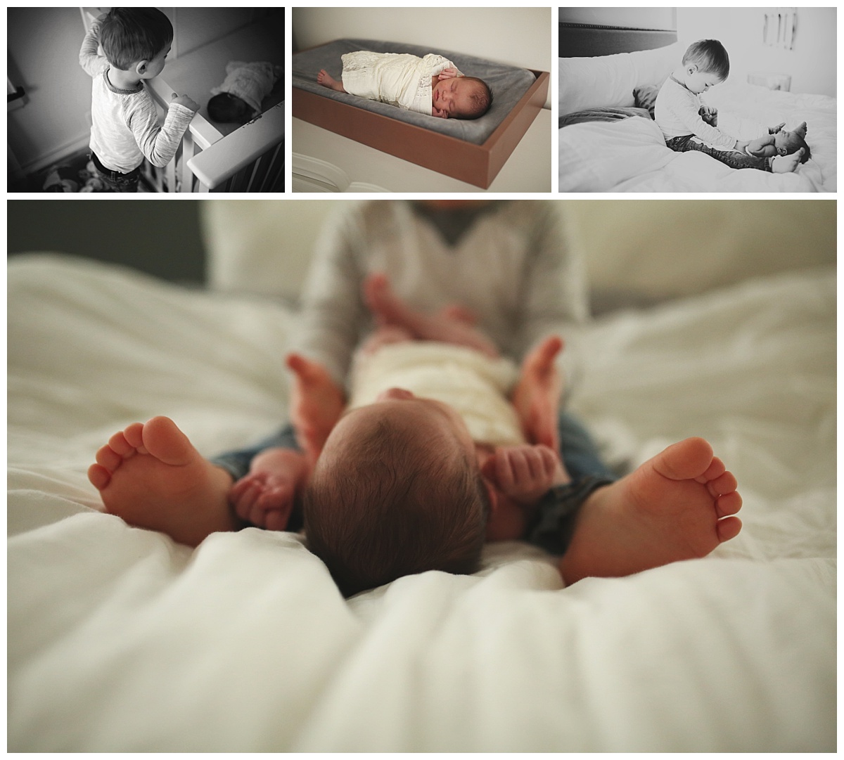 lifestyle newborn photography buffalo ny