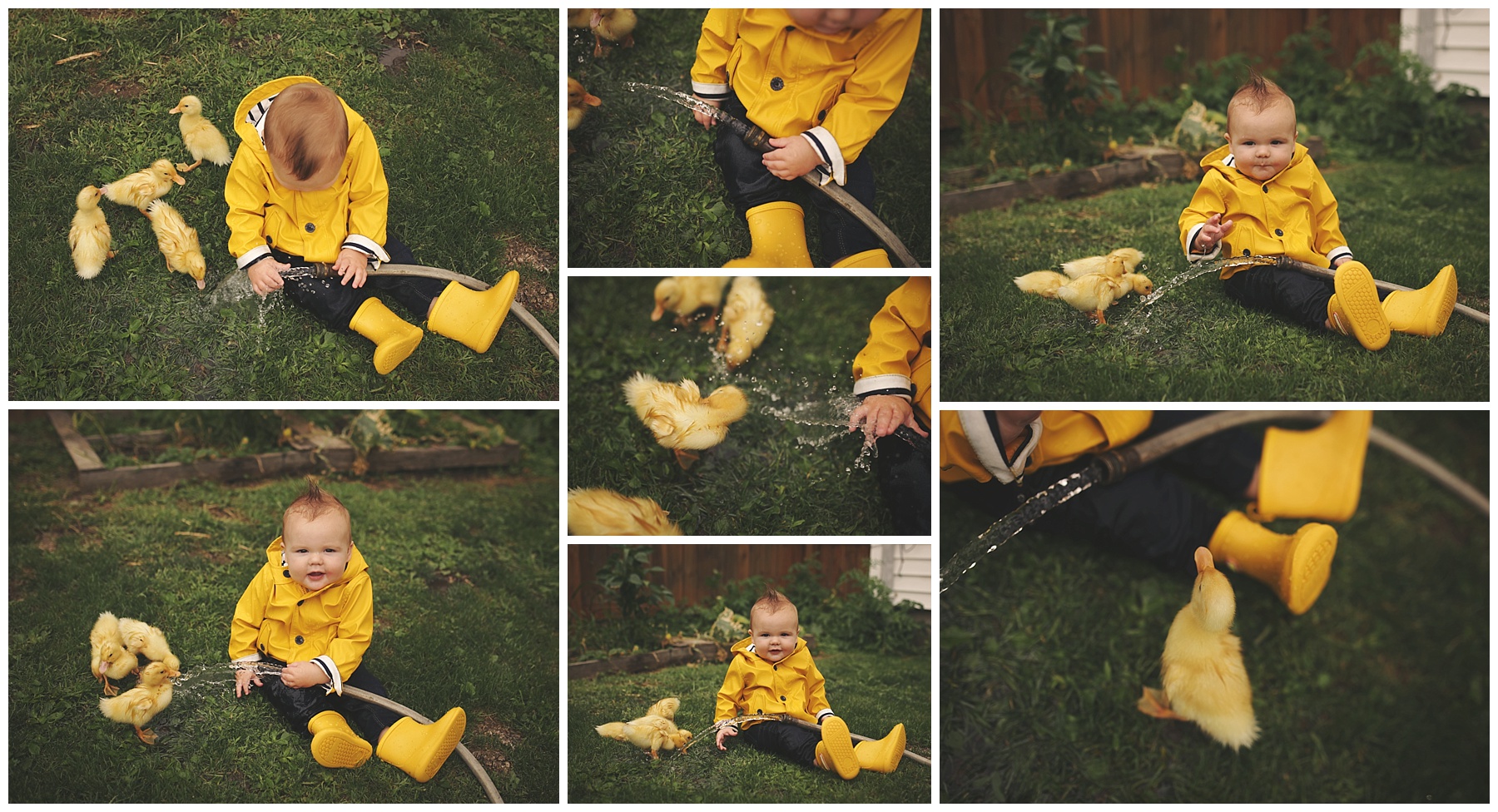 baby photography in buffalo ny