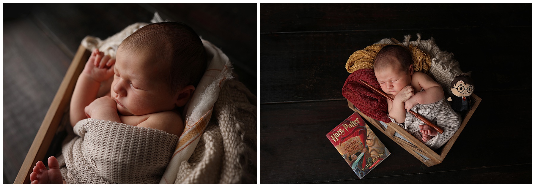 family photography buffalo new york family photography buffalo new york