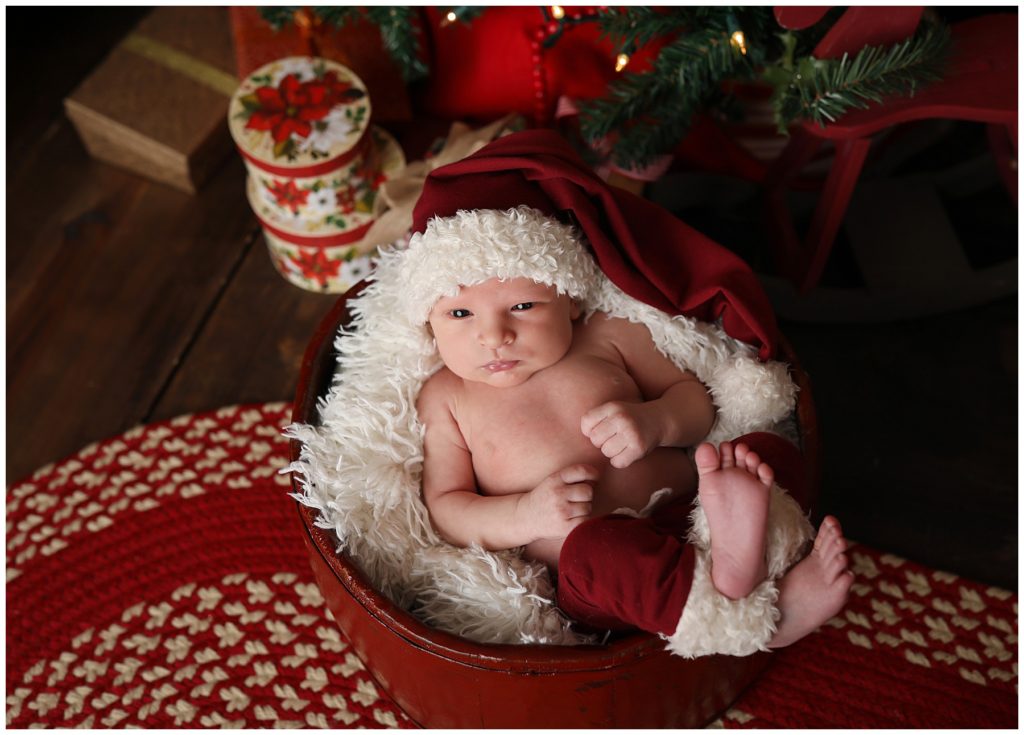 baby photography buffalo new york