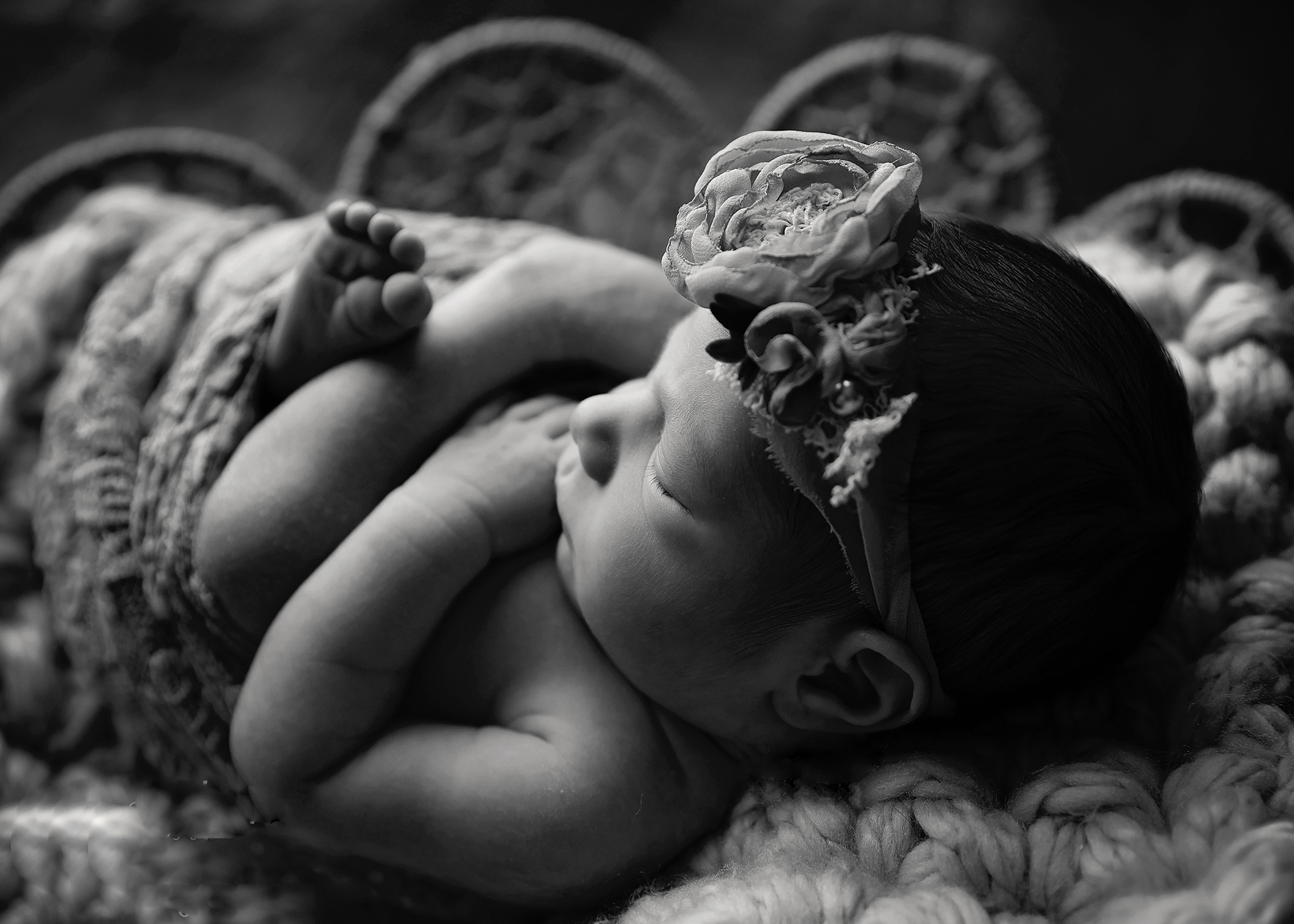 newborn portraits buffalo