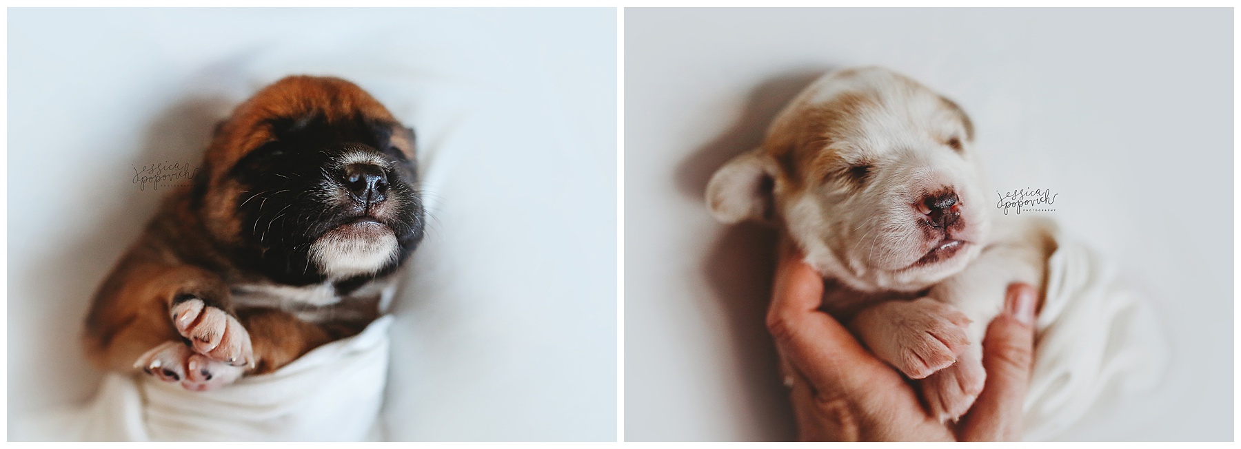 2020-03-03_0001.jpg portrait photographer buffalo new york