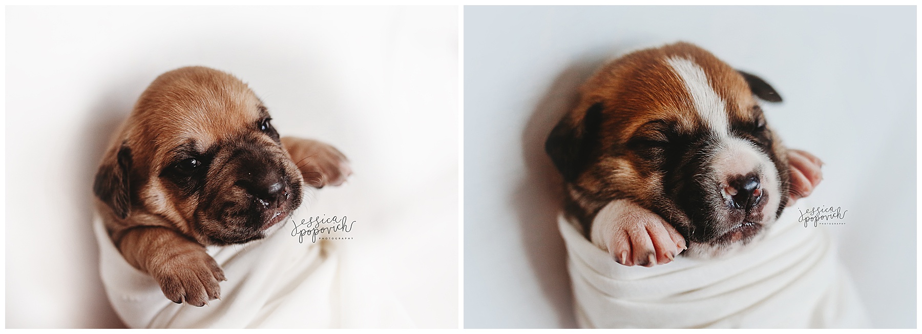 2020-03-03_0002.jpg portrait photographer buffalo new york