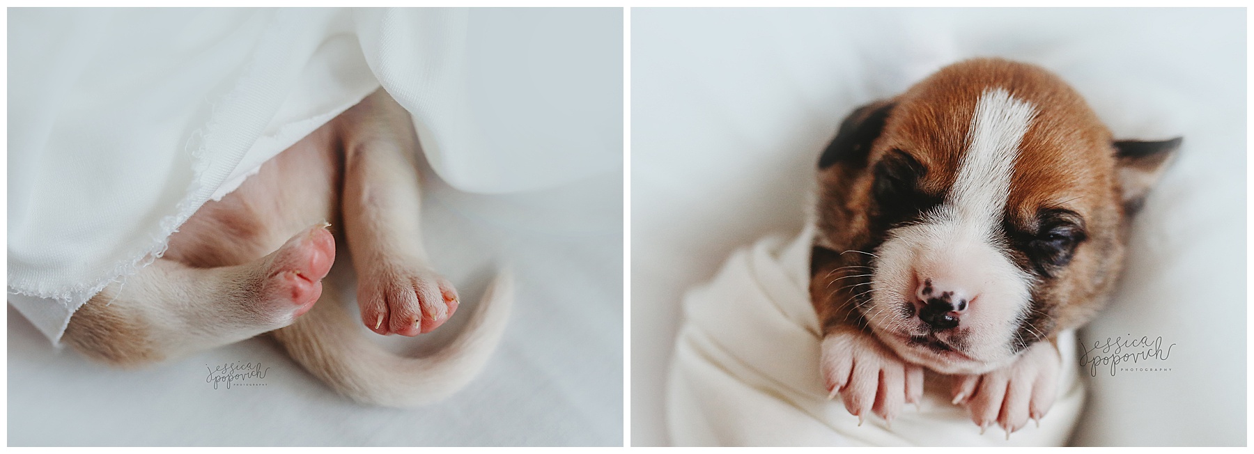 2020-03-03_0003.jpg portrait photographer buffalo new york