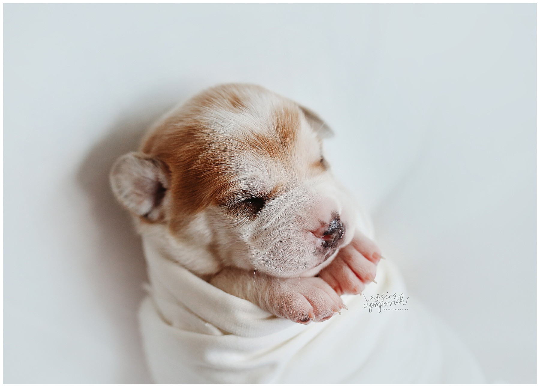 2020-03-03_0005.jpg portrait photographer buffalo new york