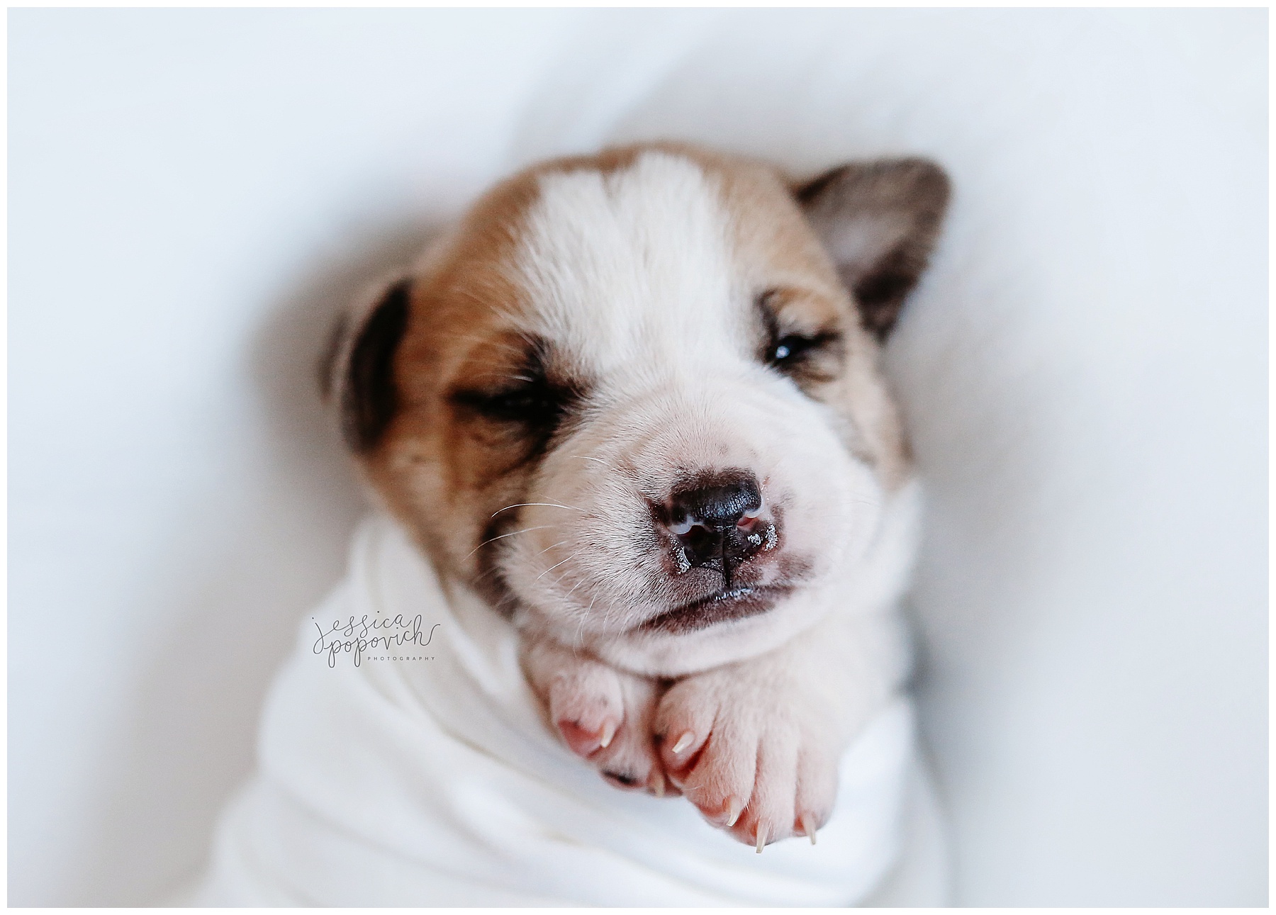 2020-03-03_0006.jpg portrait photographer buffalo new york