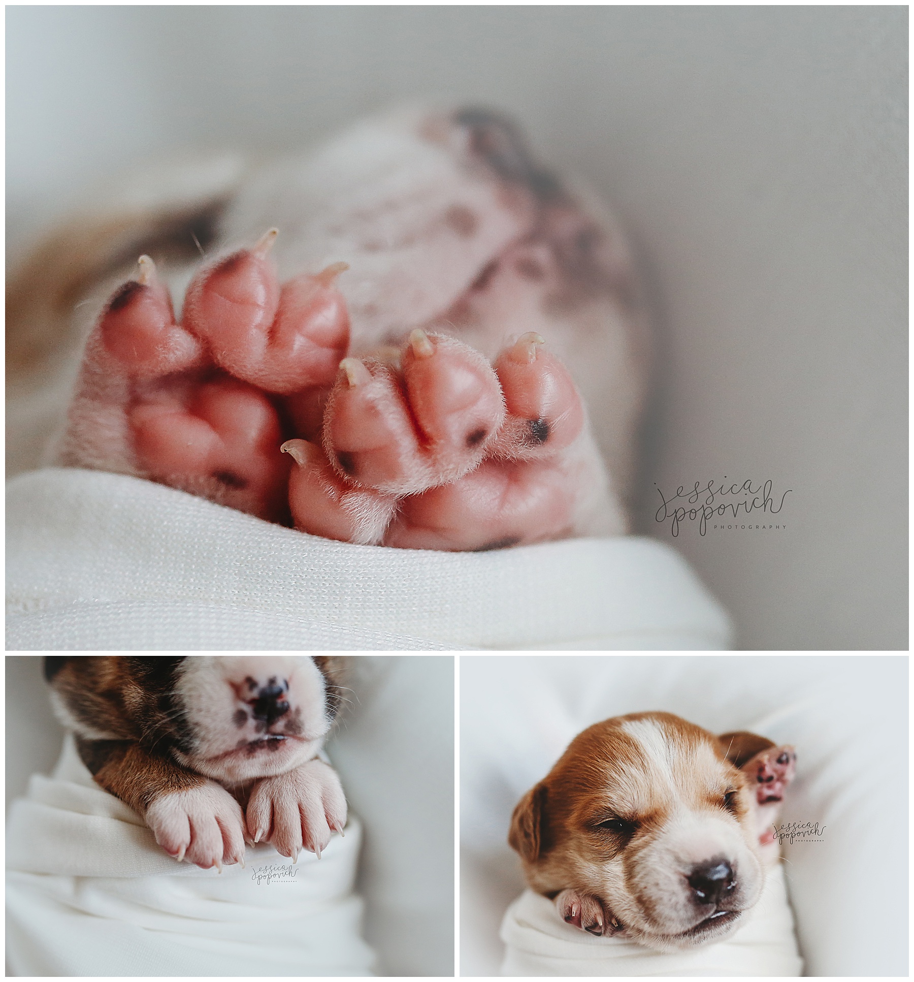 2020-03-03_0007.jpg portrait photographer buffalo new york