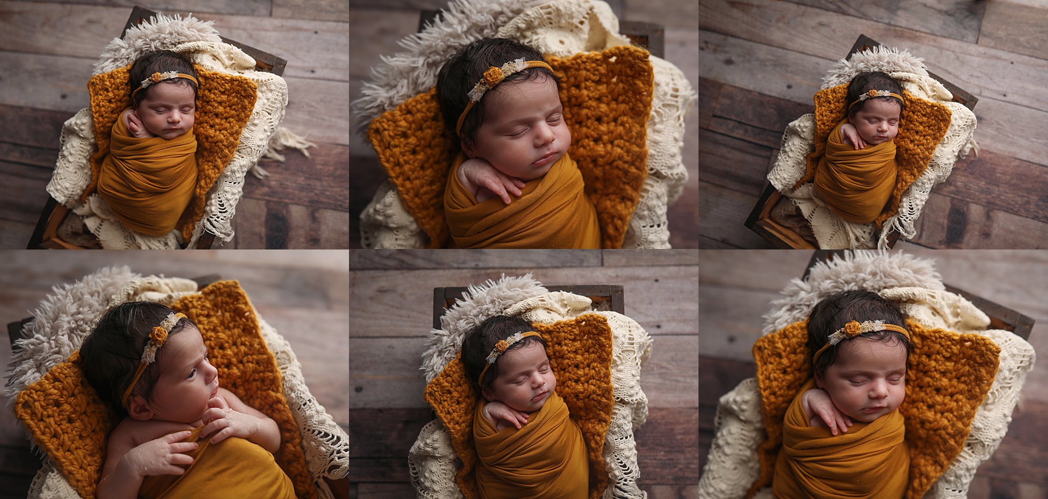 2020-08-30_0004.jpg Buffalo Baby Photography