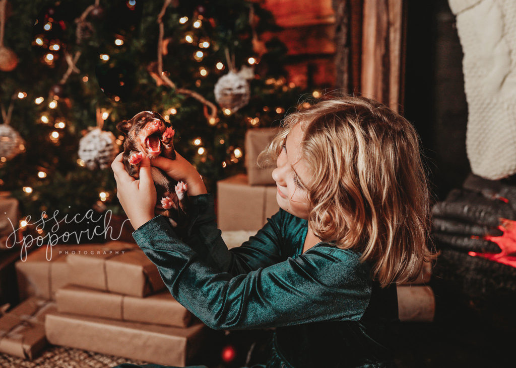 Buffalo, NY Christmas Portraits 2020