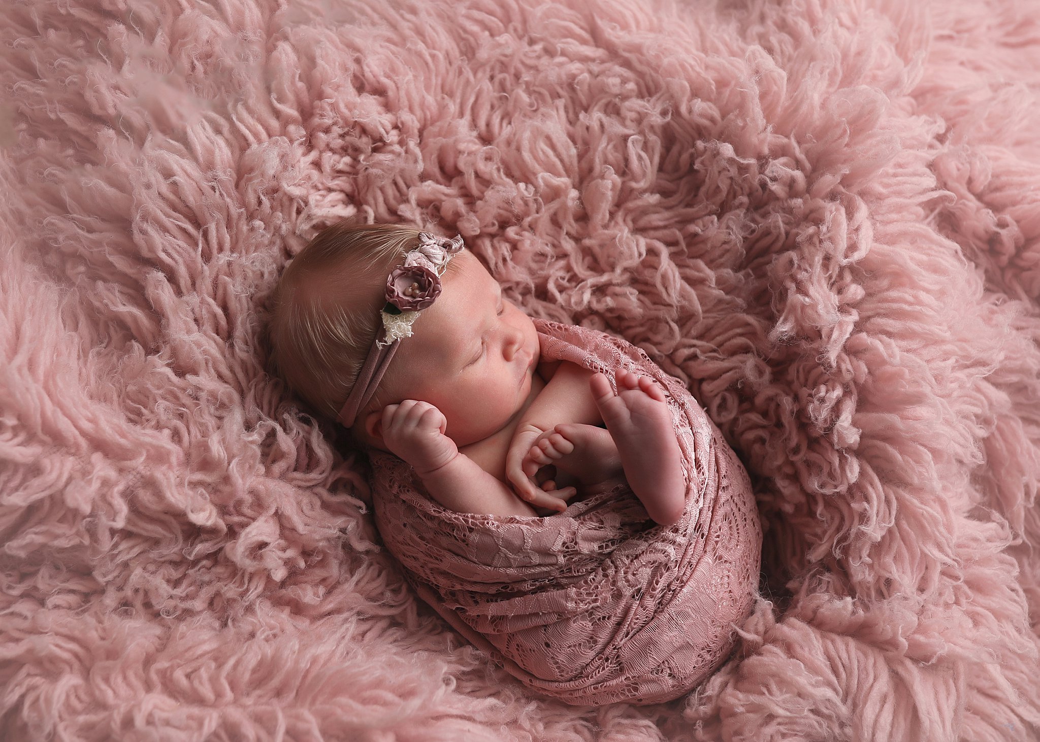 Newborn Mini Portrait Session
