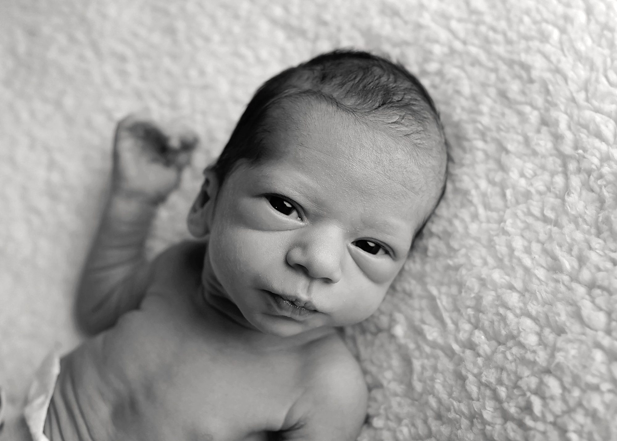 Studio Newborn Portrait Session
