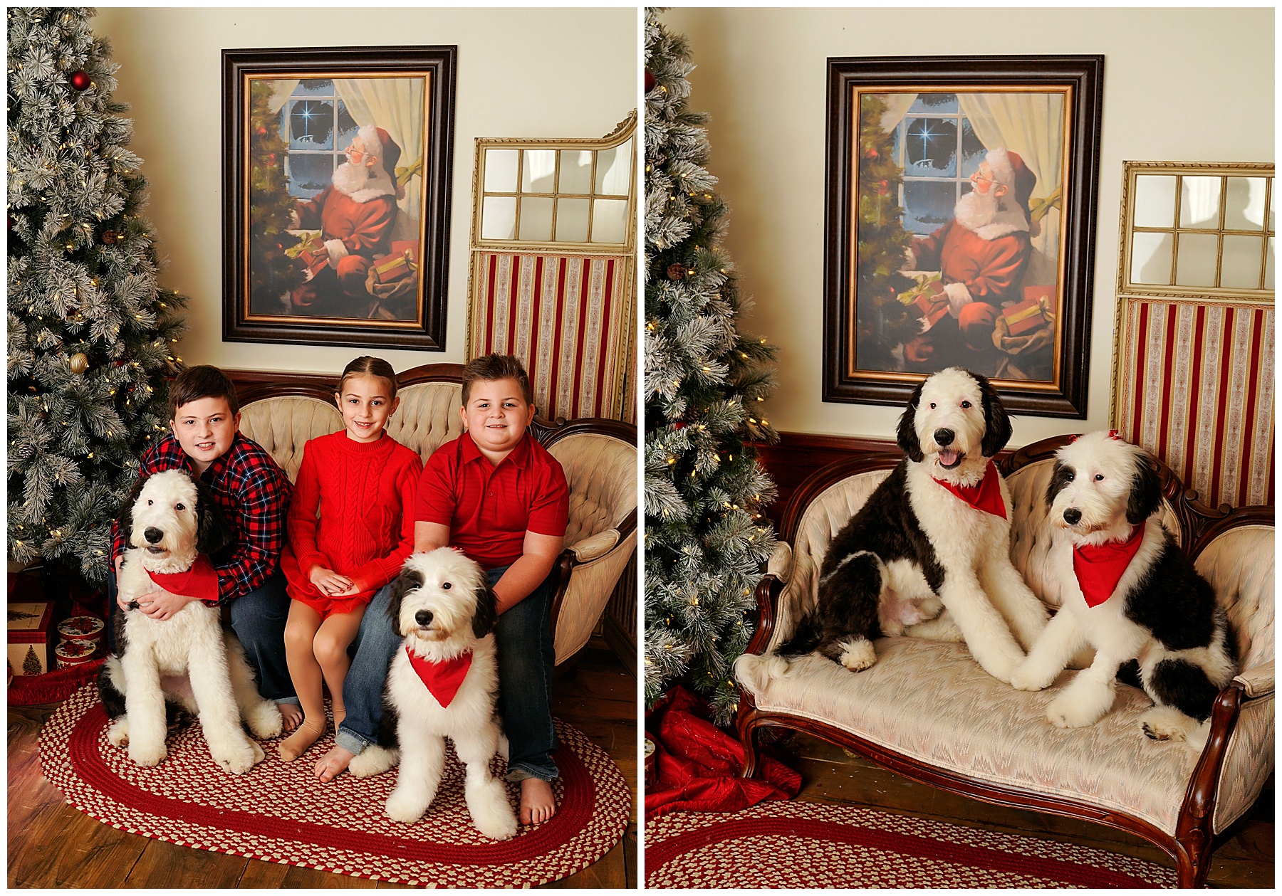 2021-12-27_0002.jpg Christmas with Puppies