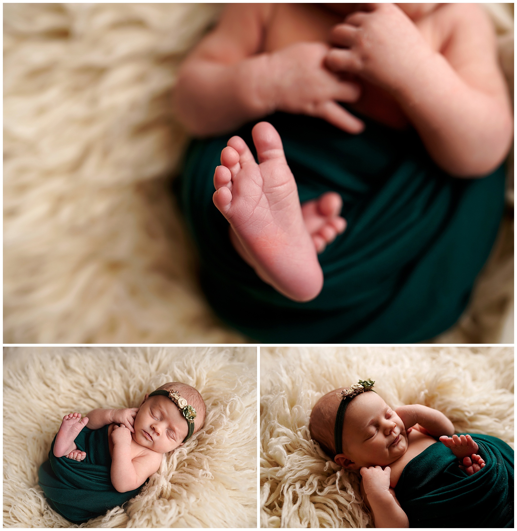 Newborn & Family Portraits