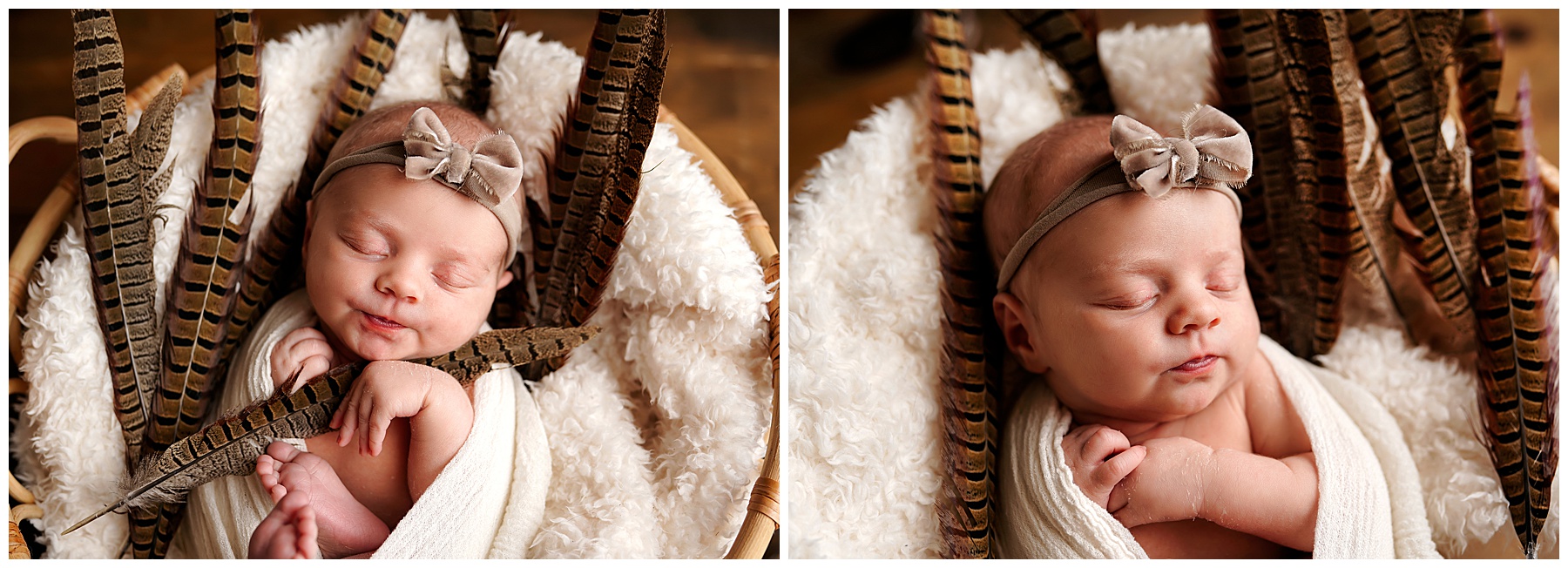 Newborn & Family Portraits