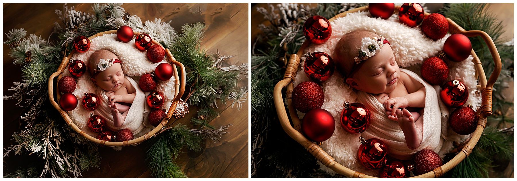 Newborn & Family Portraits