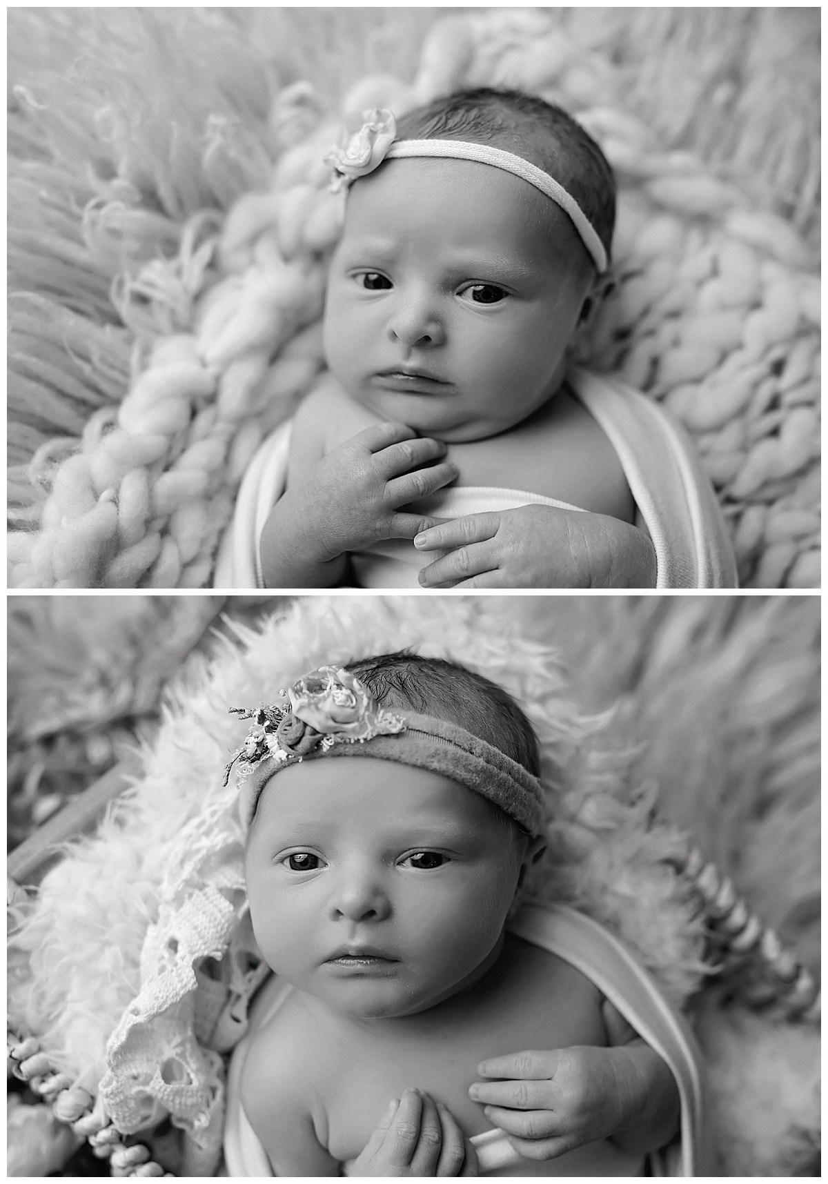 2023-07-18_0021.jpg best baby photographer niagara falls ny