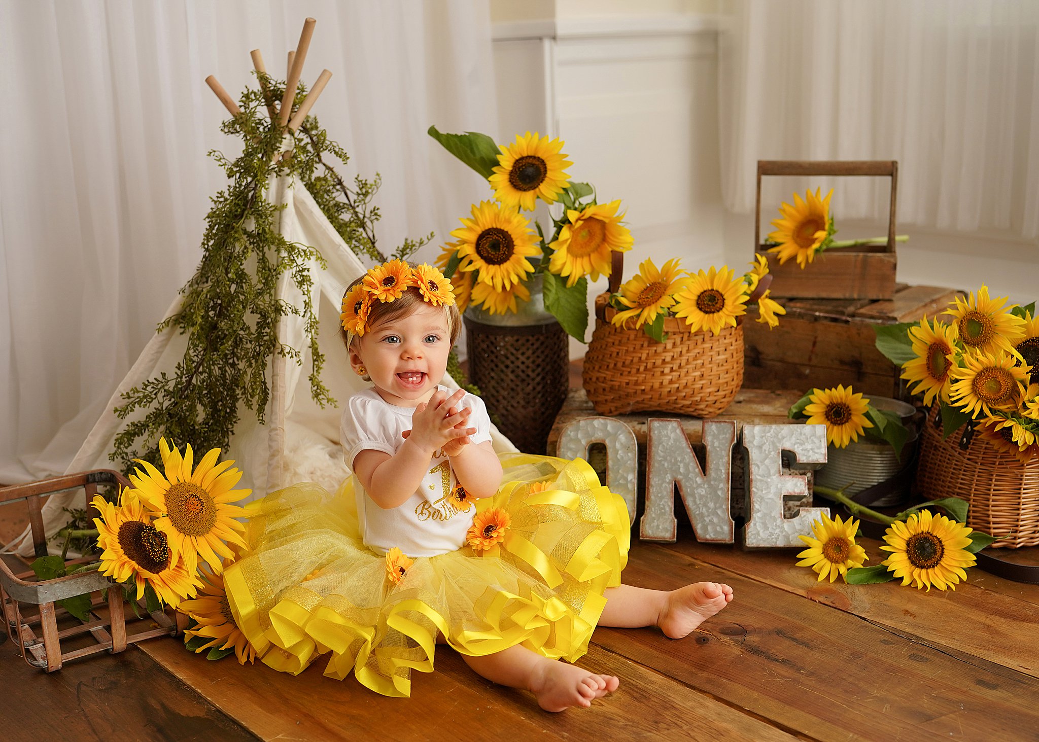 baby birthday photoshoot, first birthday portrait session, Buffalo cake smash photography